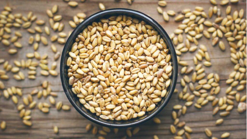 Wheat Intolerance